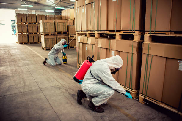 Best Pest Control Near Me in Peachtree City, GA