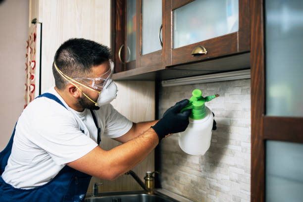 Best Termite Control Services  in Peachtree City, GA