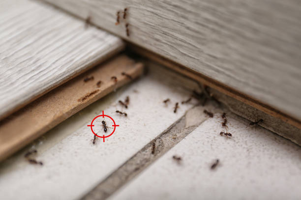 Best Pest Control Near Me  in Peachtree City, GA