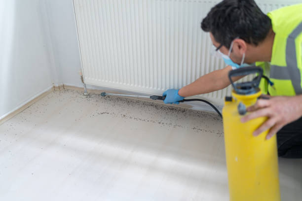 Best Commercial Pest Control Services  in Peachtree City, GA