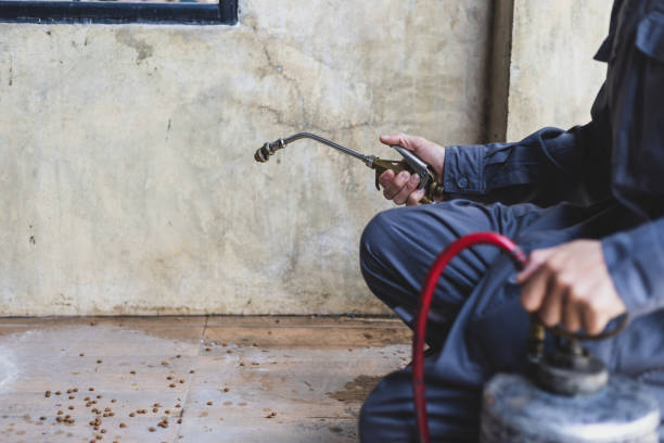 Best Local Pest Control Services  in Peachtree City, GA