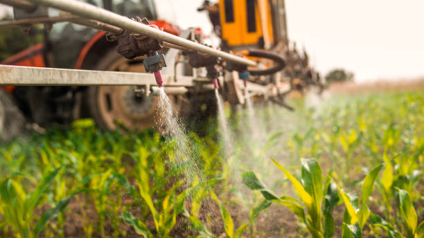 Best Mosquito Control Services  in Peachtree City, GA